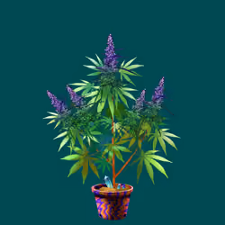 NFTokin #10145