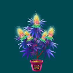 NFTokin #2170