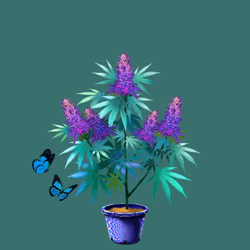 NFTokin #7253