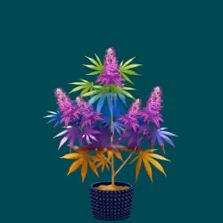NFTokin #11291