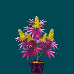 NFTokin #8692