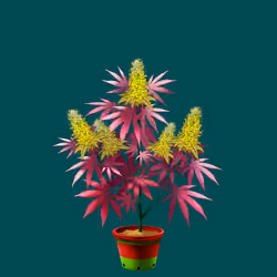 NFTokin #8488