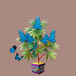 NFTokin #12051