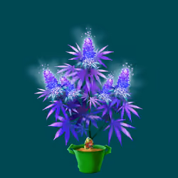 NFTokin #9363