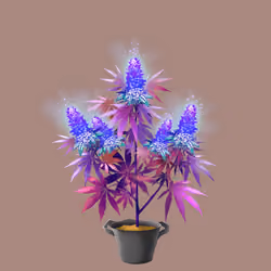 NFTokin #6839
