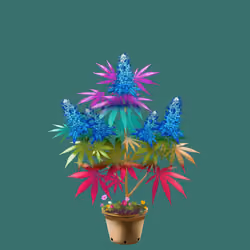NFTokin #12046