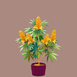 NFTokin #3346