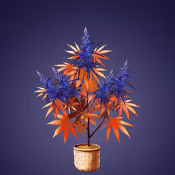 NFTokin #7569