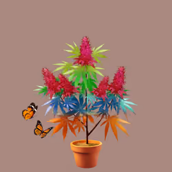 NFTokin #11912