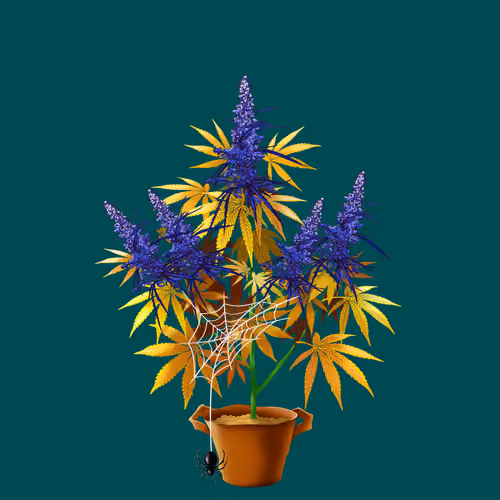 NFTokin #12858