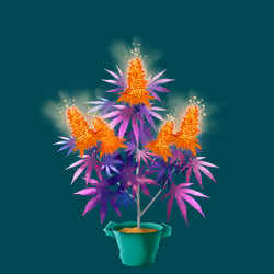 NFTokin #10672