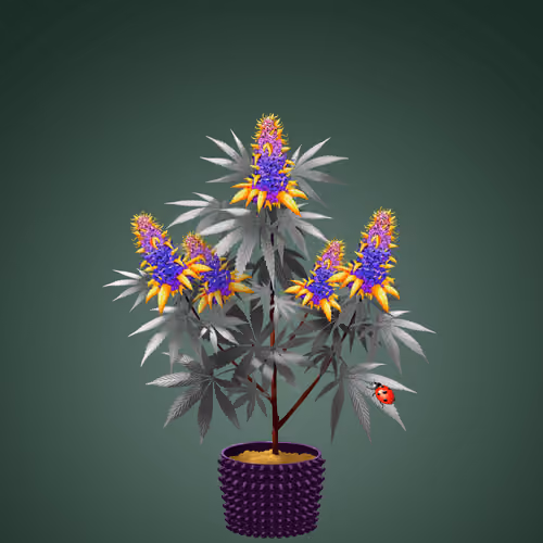 NFTokin #6838