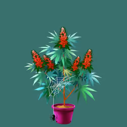 NFTokin #2604
