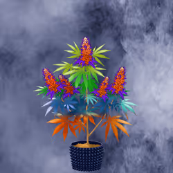 NFTokin #10721