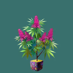 NFTokin #10697