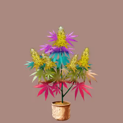 NFTokin #11235