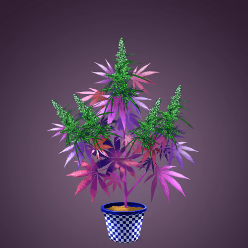 NFTokin #12183