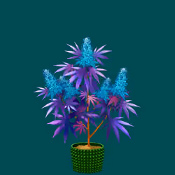 NFTokin #9952