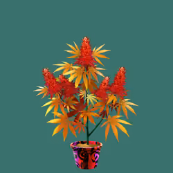 NFTokin #10419