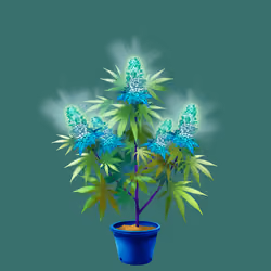 NFTokin #3091