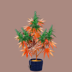 NFTokin #4136