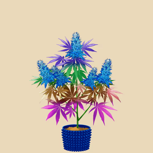 NFTokin #8552