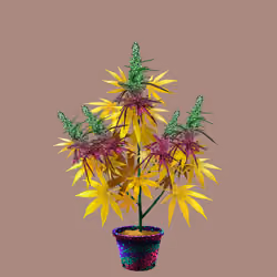 NFTokin #4678