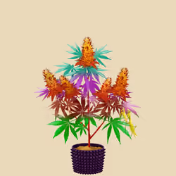NFTokin #12789