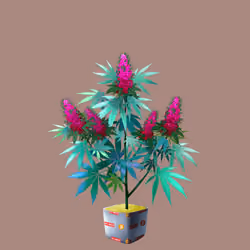 NFTokin #563