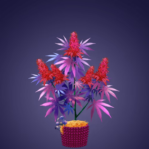 NFTokin #4758