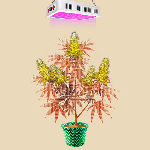 NFTokin #9763