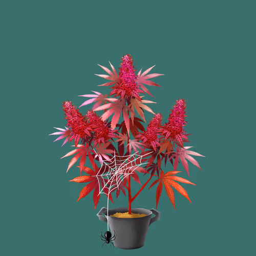 NFTokin #7265
