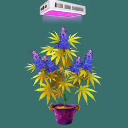NFTokin #6608