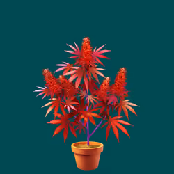 NFTokin #7070
