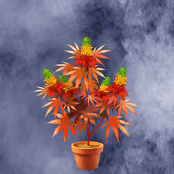 NFTokin #2878