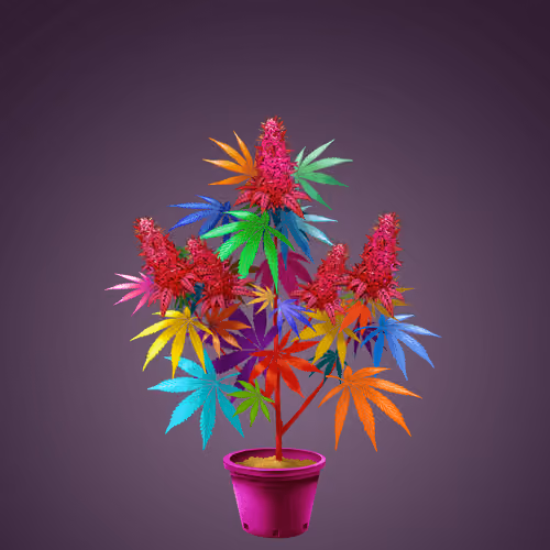 NFTokin #4991