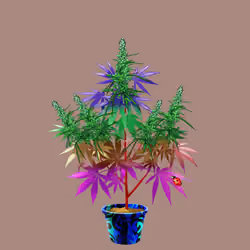 NFTokin #10307