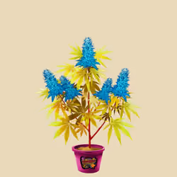 NFTokin #8392