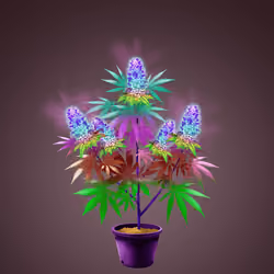 NFTokin #11050