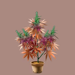 NFTokin #12989