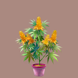 NFTokin #11009