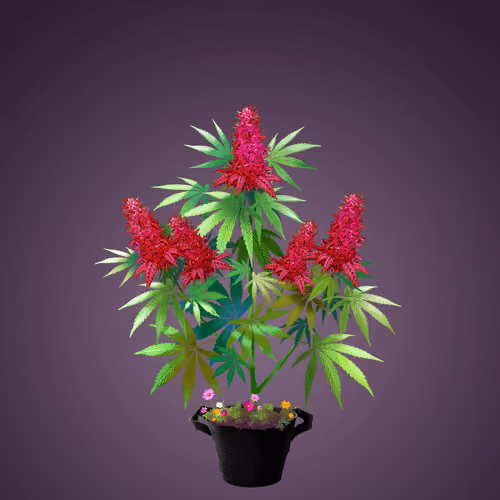 NFTokin #6395