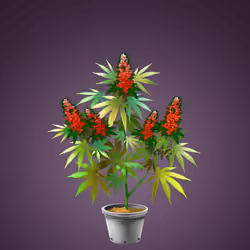 NFTokin #5406