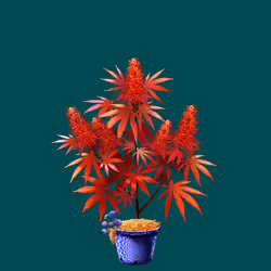 NFTokin #9687