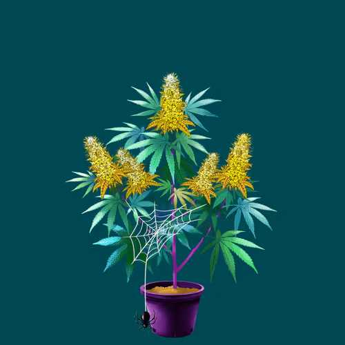 NFTokin #6098