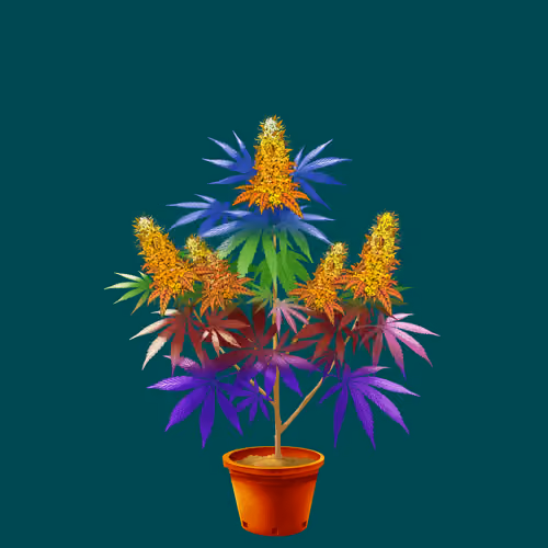 NFTokin #10555