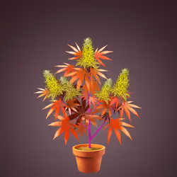 NFTokin #7447