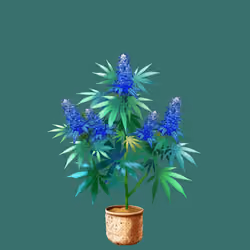 NFTokin #11351