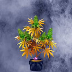 NFTokin #2025