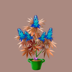 NFTokin #3935